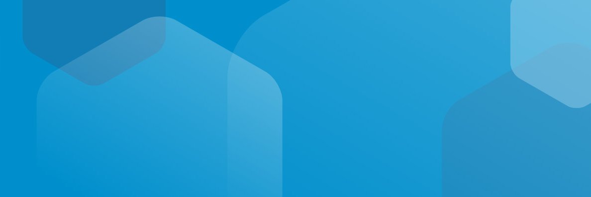 SNV - find us on Bluesky as snv.org banner