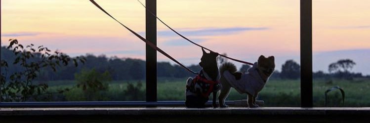 iceseung's profile banner image
