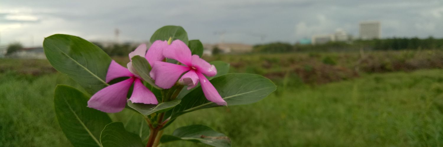 LibraPranata's profile banner image