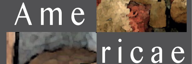 AmericaeRevue's profile banner image