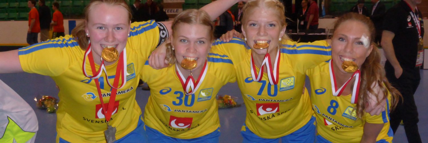 klaramolin's profile banner image