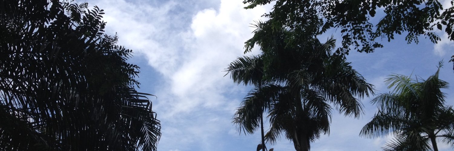 febbypriscilla's profile banner image