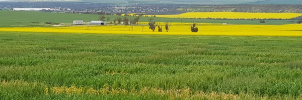 AllanRattey Profile Banner