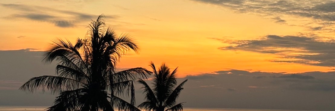 airee00's profile banner image
