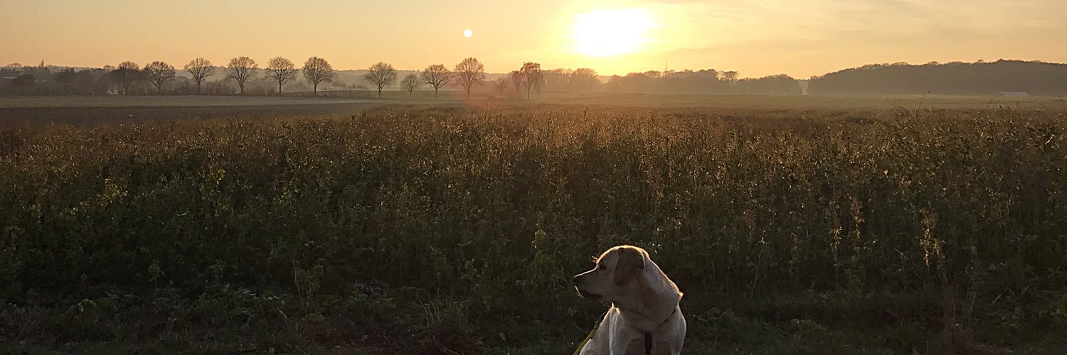 loreckc's profile banner image