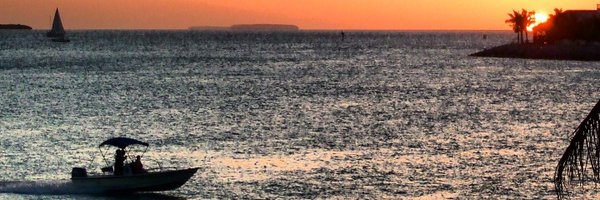 _tacdds Profile Banner