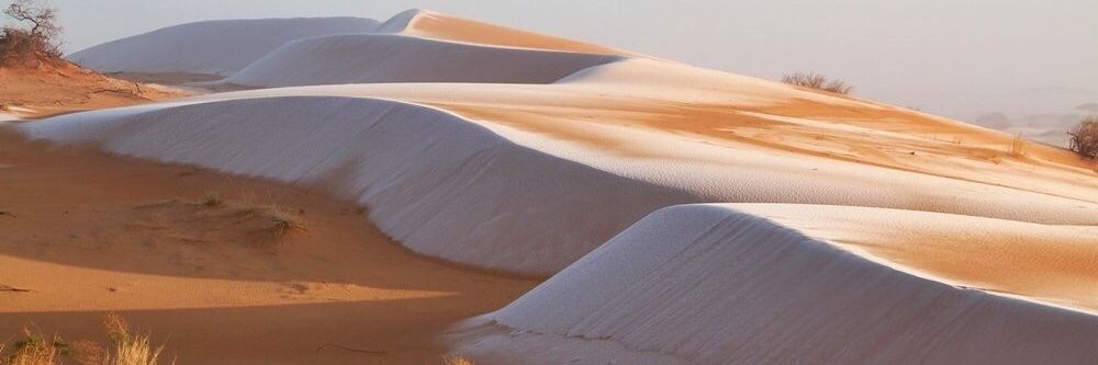 عبدالعزيز الحارثي banner