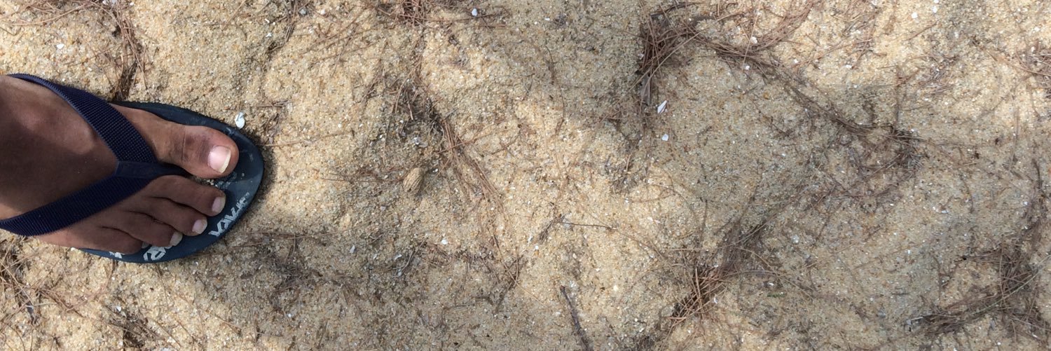 SupithaNimilana's profile banner image