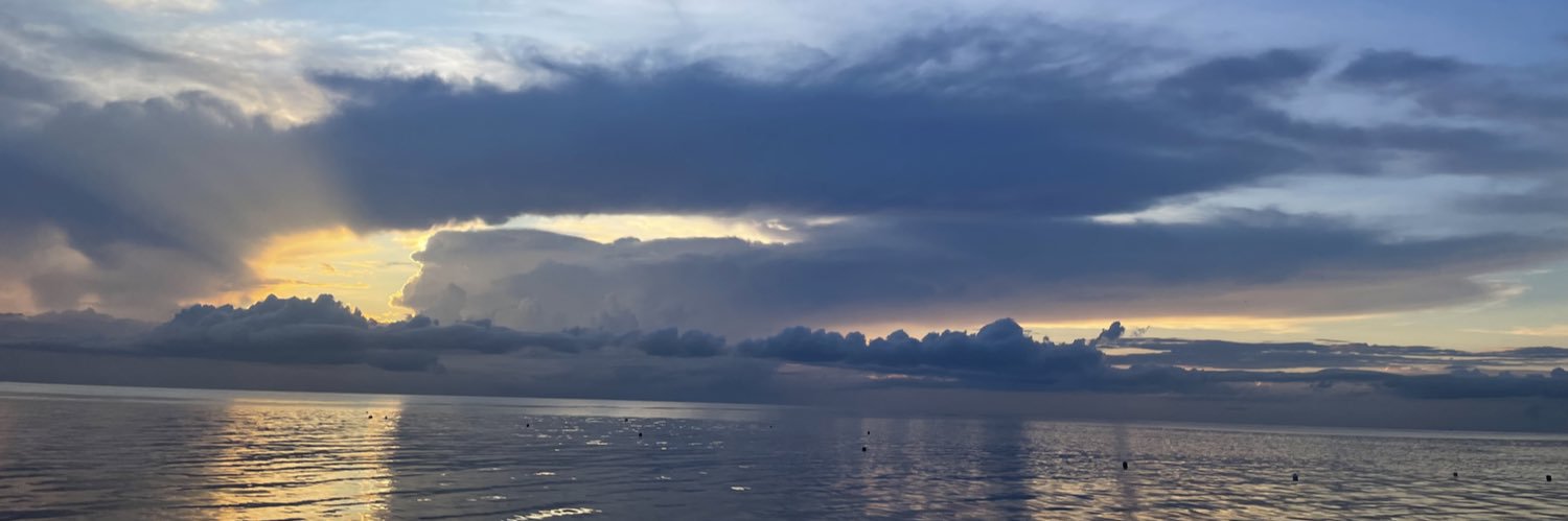 allypeugh's profile banner image
