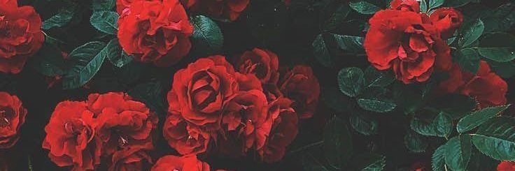 sagungy's profile banner image