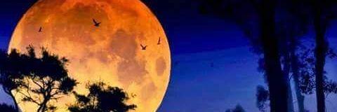NanaCruz73's profile banner image