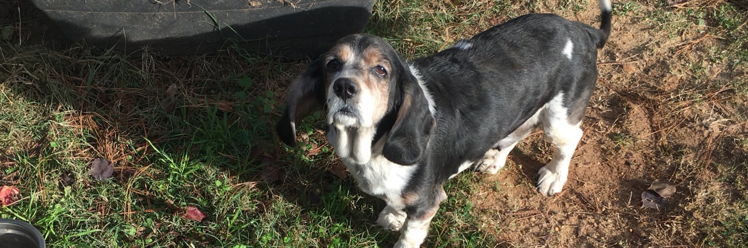 ❄️Physics Boyt❄️ banner