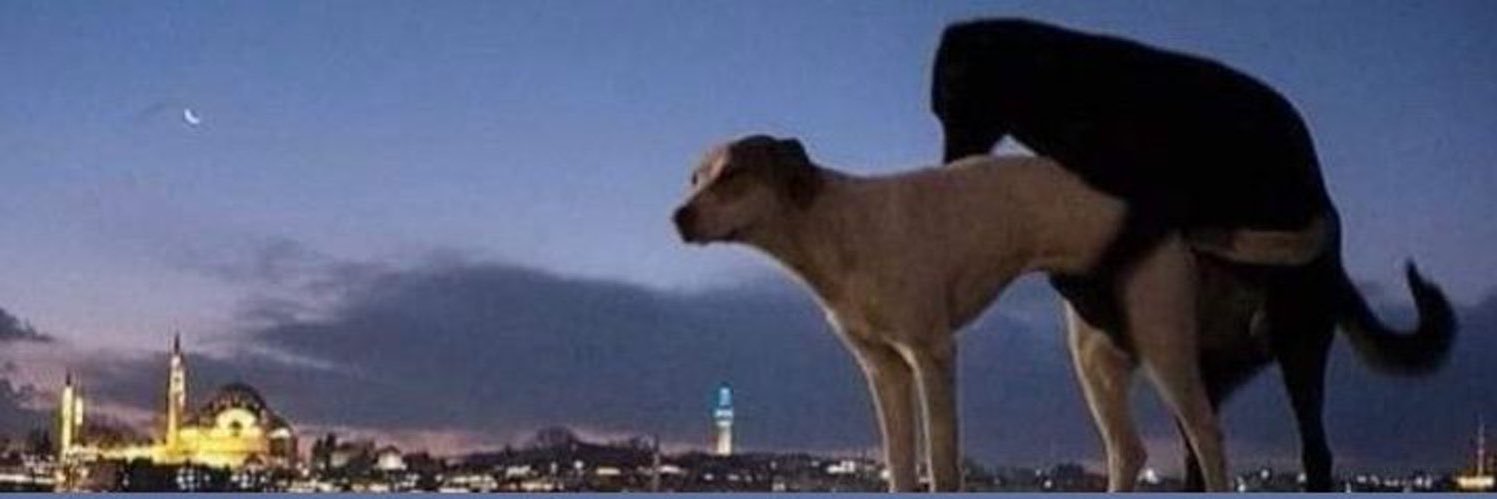 Gucastrooo's profile banner image