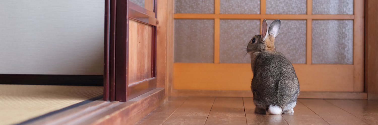 フォトスタジオbloom【公式】 banner