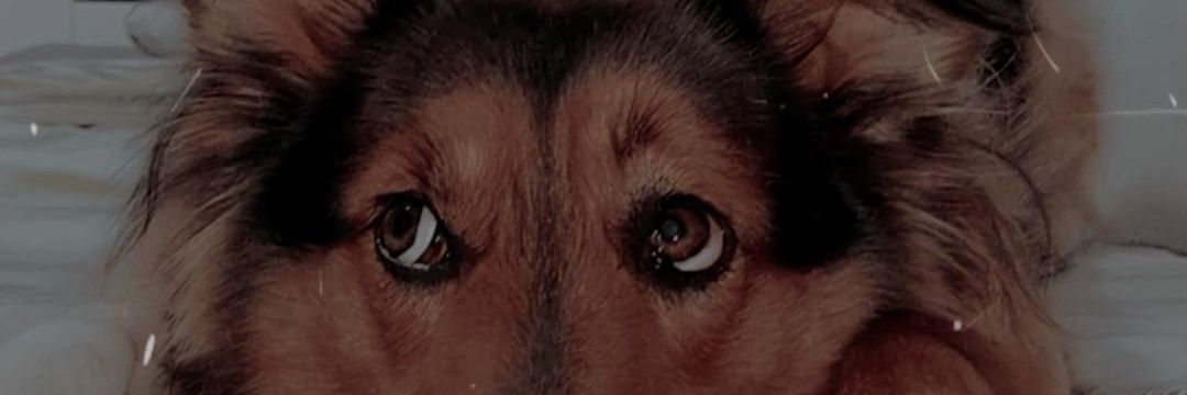 Nico_vella3's profile banner image