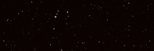 𝕮opter banner