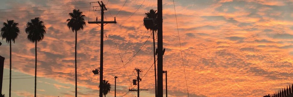 Swisher_B's profile banner image