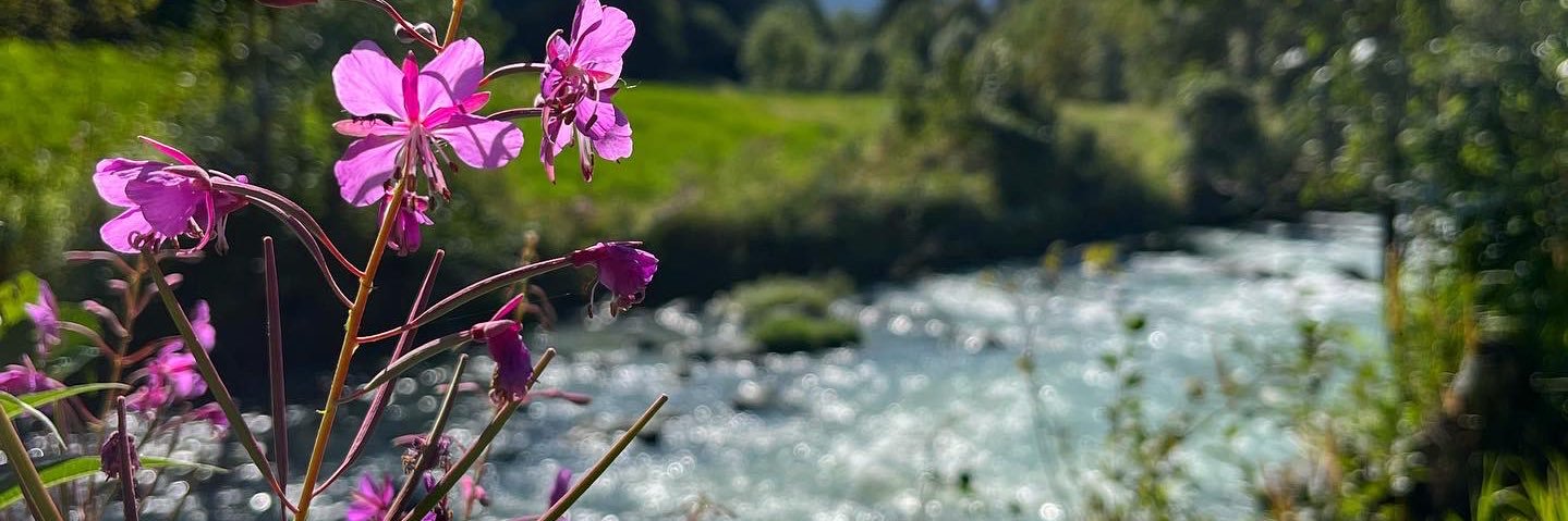 GiuliaC89's profile banner image