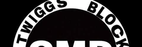 Prince James Twiggs banner