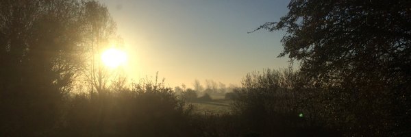 Harlekwin_UK Profile Banner