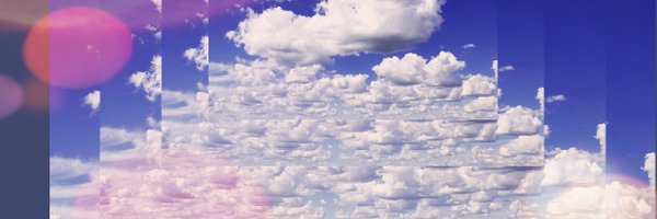 FliesSpanish Profile Banner