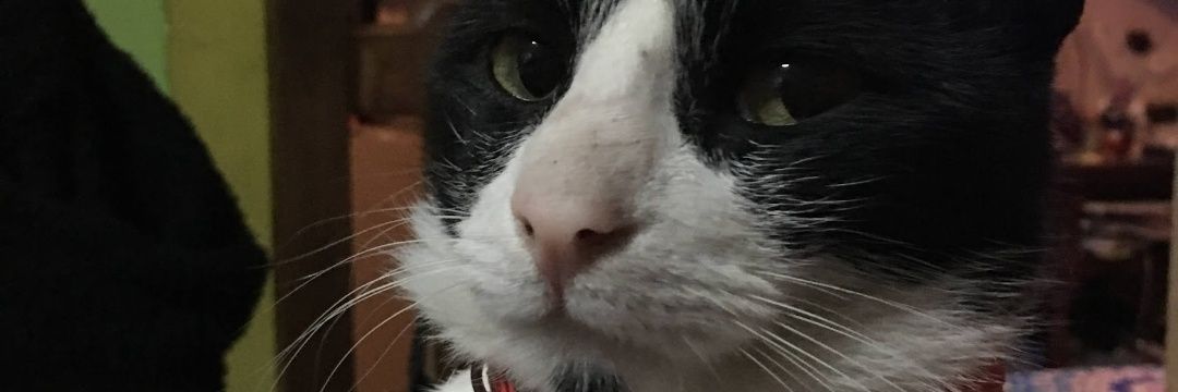 sofflorencia_'s profile banner image