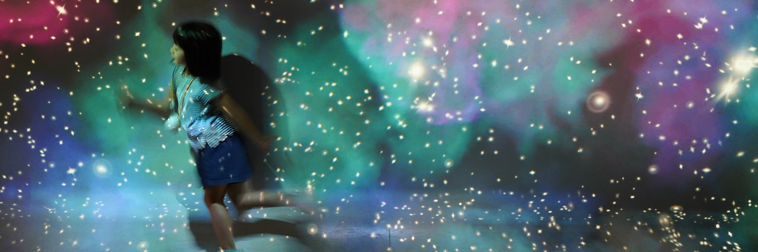 sachikoex's profile banner image