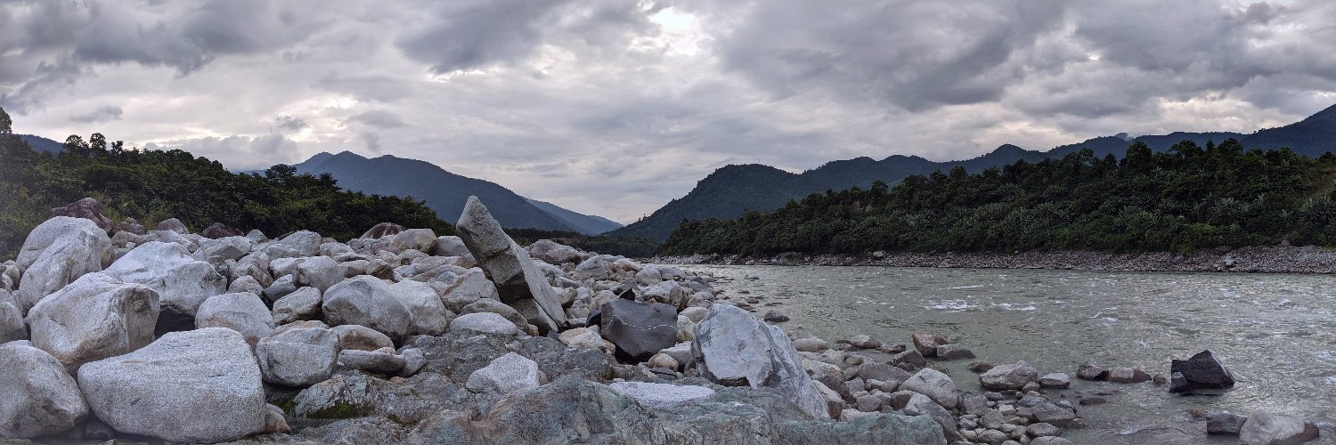 Susannah Morey banner