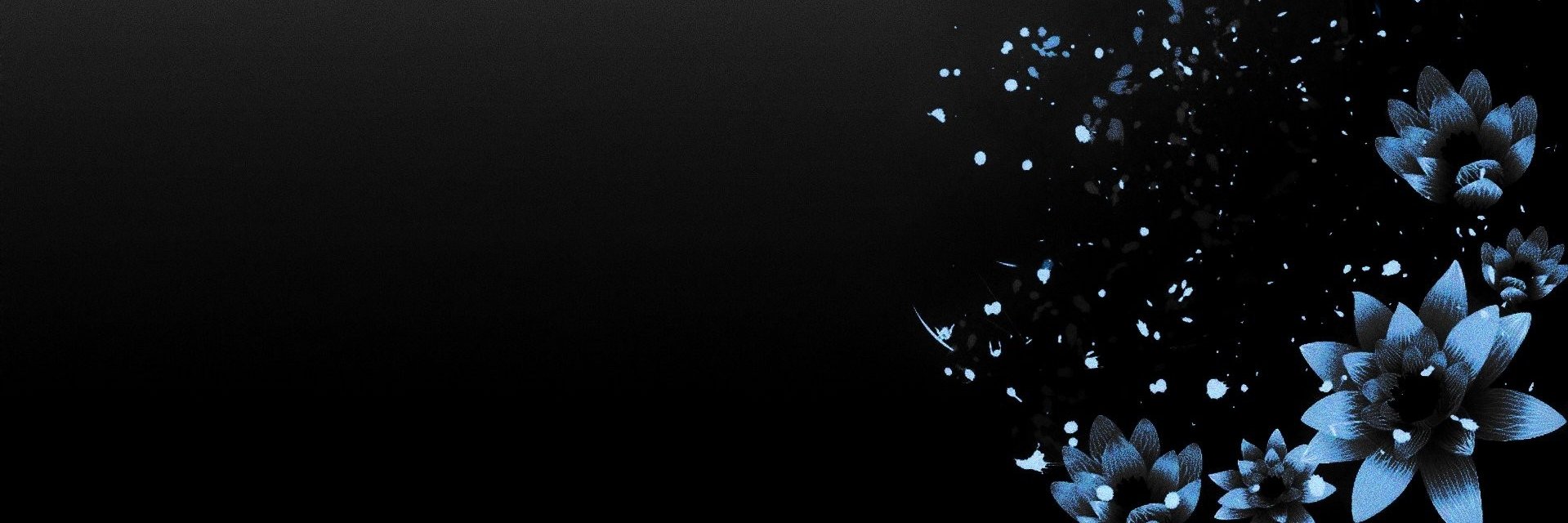 kp_clash's profile banner image