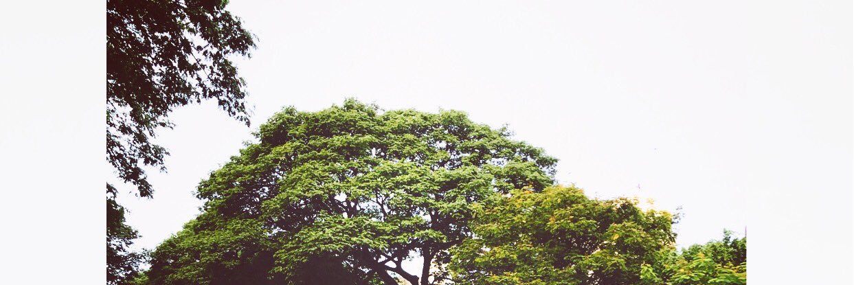 areebimam's profile banner image