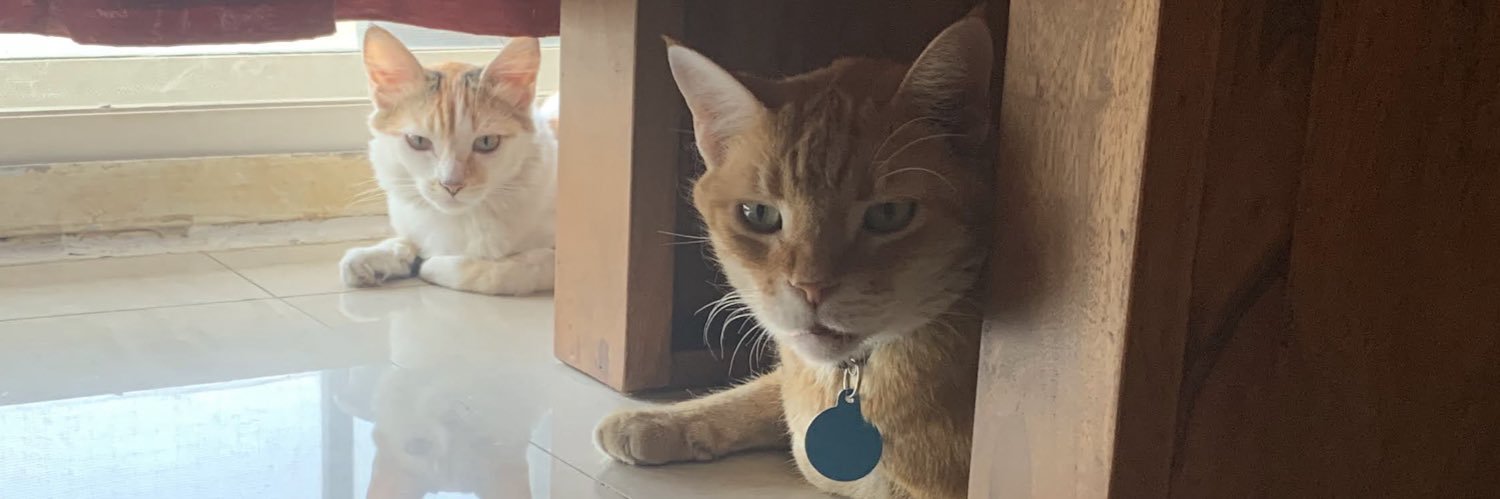 Ramya Natarajan banner