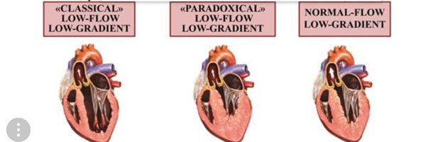 ClavelLabo Profile Banner