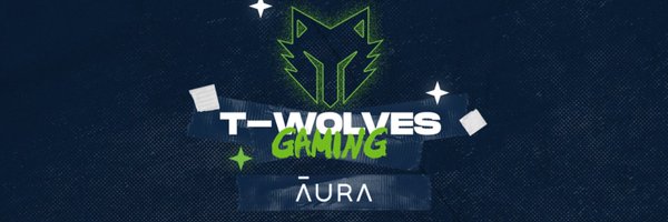 TWolvesGaming Profile Banner