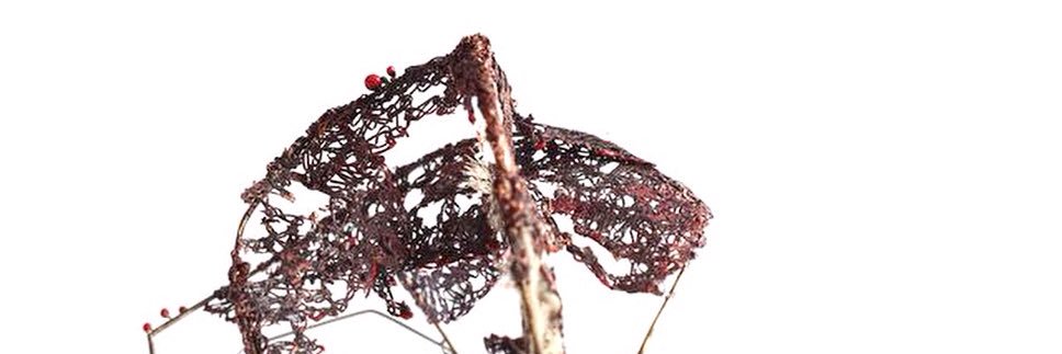 aaalyusha's profile banner image