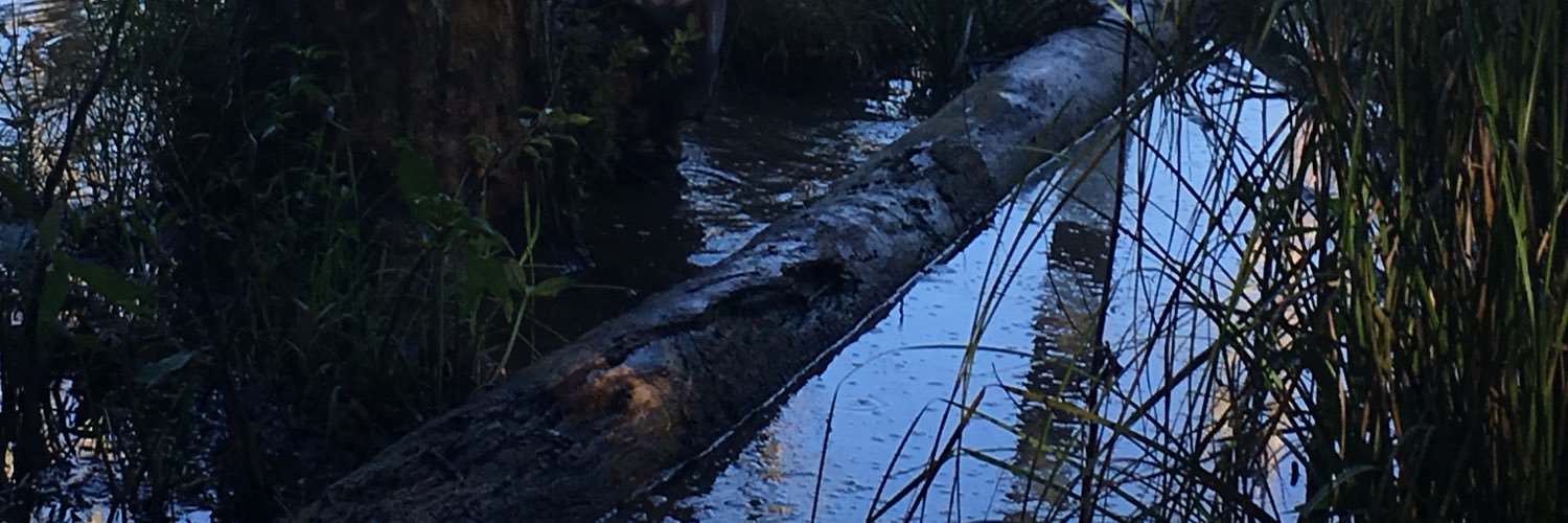 Spartan Swamp banner
