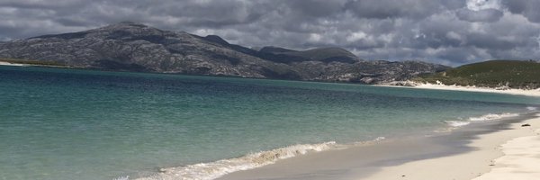 SuePeart7 Profile Banner