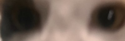 Mimgo banner