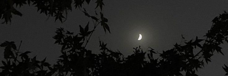 aleexxluna's profile banner image