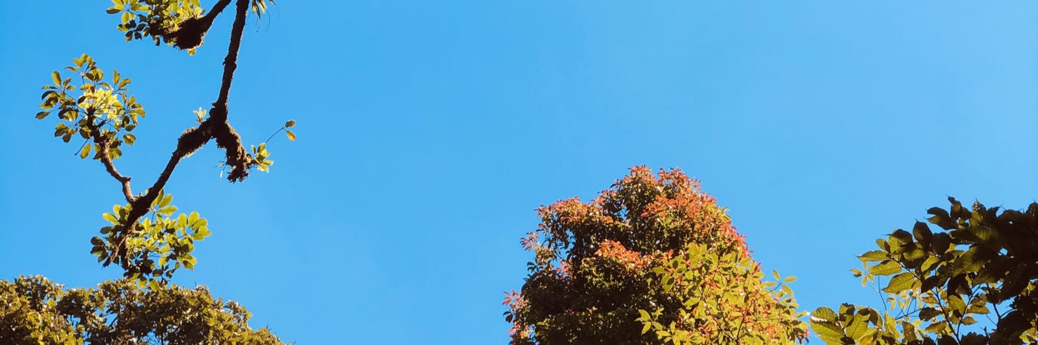 kevinceng's profile banner image
