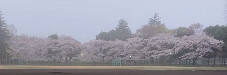 harusui's profile banner image