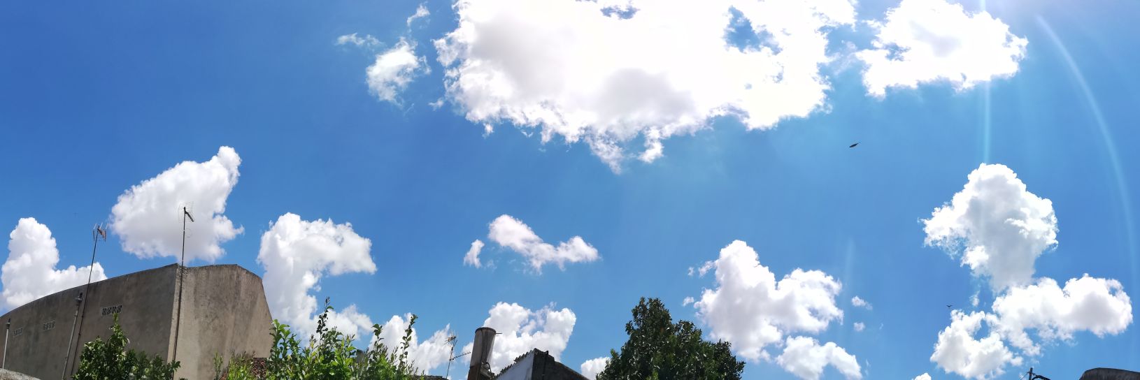 InmaculRB03's profile banner image