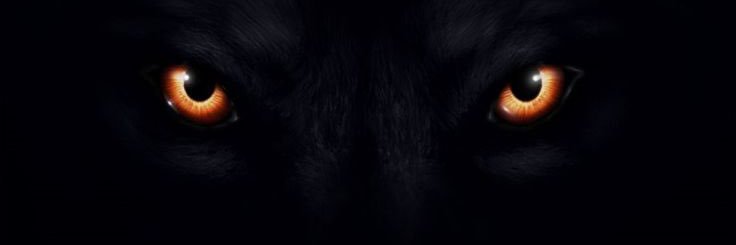SamiBrakh's profile banner image