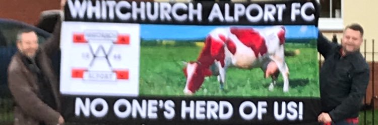 Andrew_Shone's profile banner image
