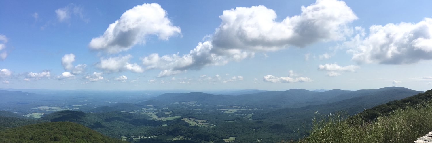 Emily Rose Windle banner