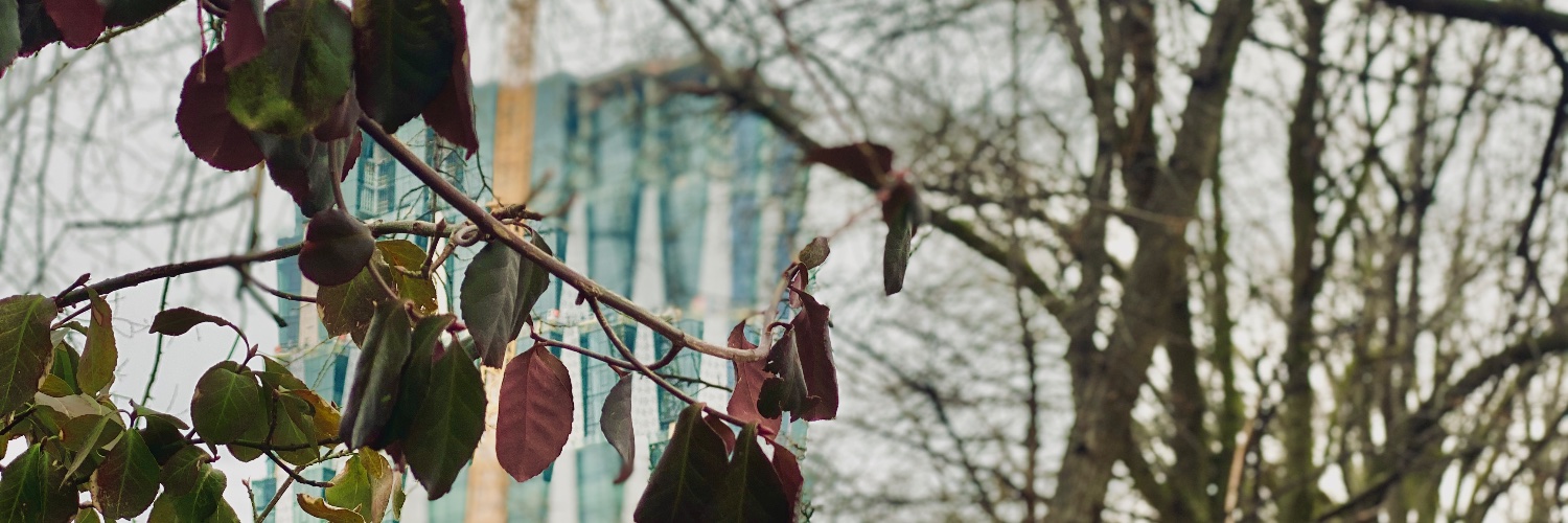 shandyland's profile banner image