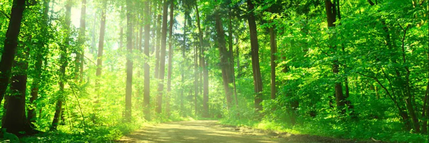 DerJimmyJones's profile banner image