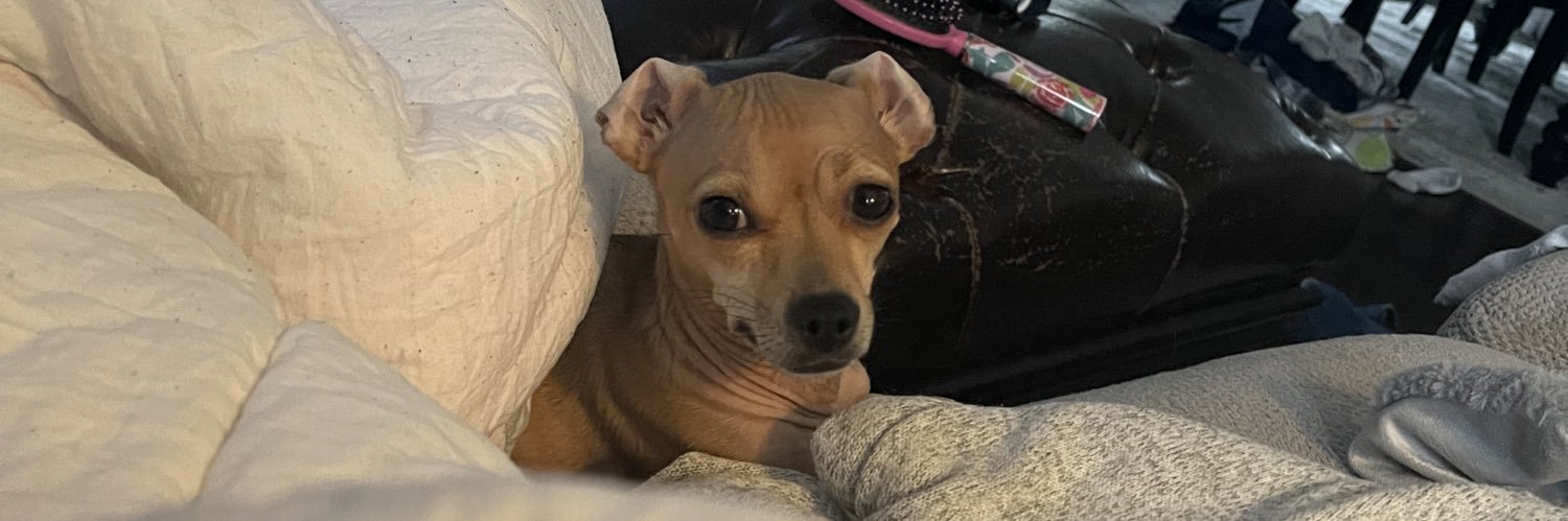 haleyxxjane's profile banner image