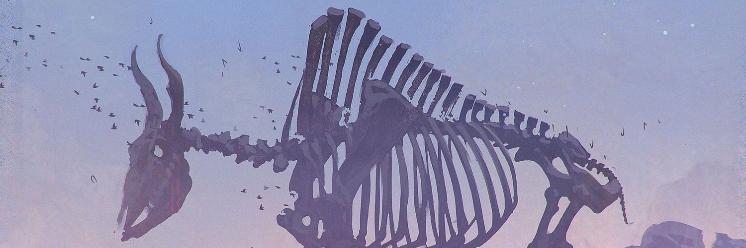 SeefeldtPedro's profile banner image