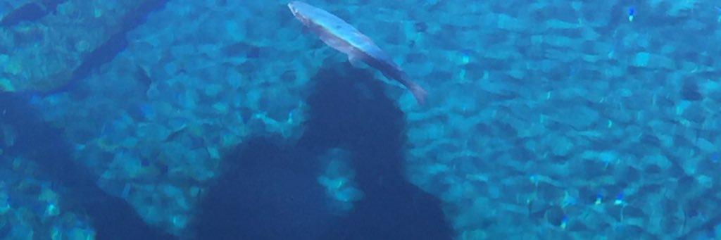 abe_yoshimi_2's profile banner image