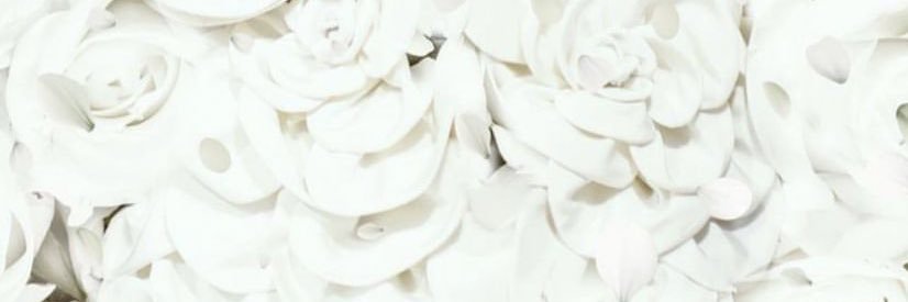 manisha__bains's profile banner image